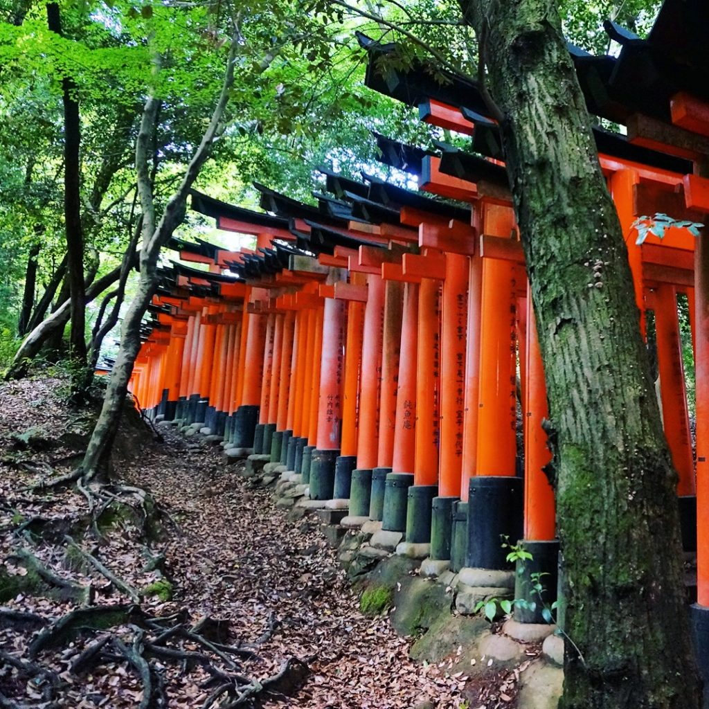 Japonya Kyoto Gezi Rehberi Gezen Robot